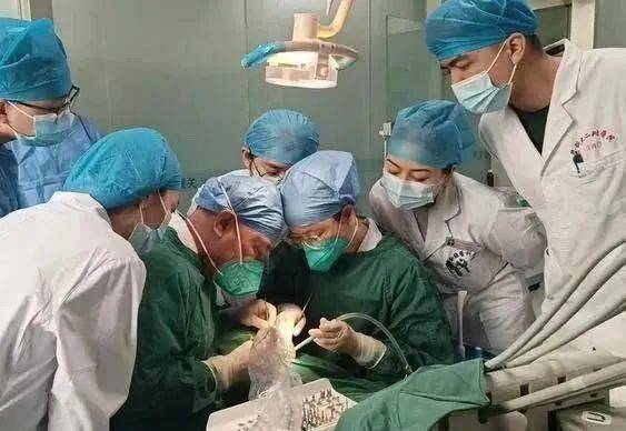 种植牙集采落地新疆！最新价格、医疗机构来啦！